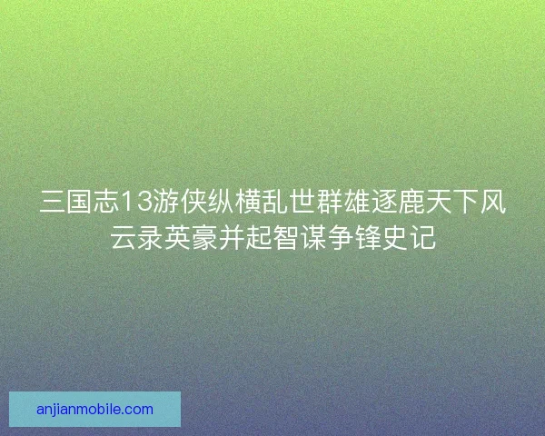 三国志13游侠纵横乱世群雄逐鹿天下风云录英豪并起智谋争锋史记
